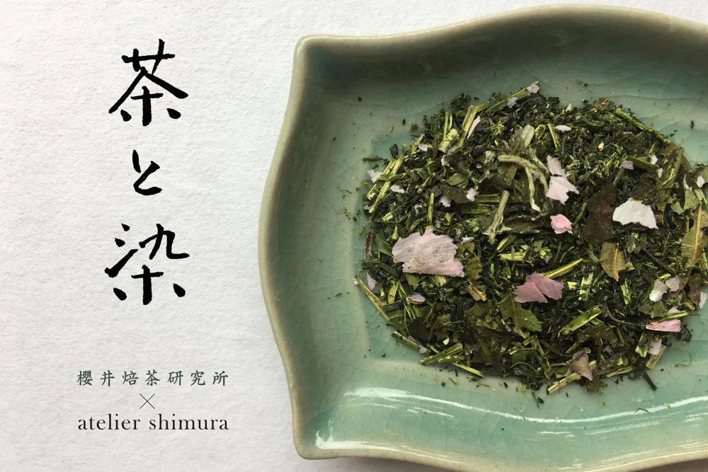 ×櫻井焙茶研究所 『茶と染』（2019年発表）