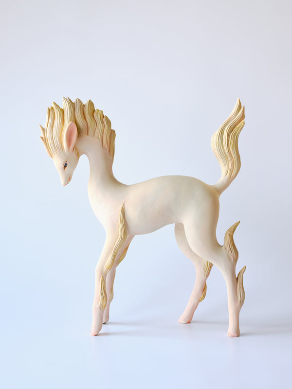 Deer 01 Yoshimasa Tsuchiya 土屋仁応 桐箱 フォトブック - 美術品